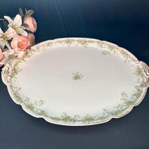Antique Haviland Limoges Platter: French Porcelain, Green Vine & Gold Trim