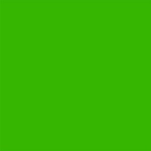 May include: Solid bright green background. The image is a single color, with no other elements or details. The color is a vibrant, saturated green.