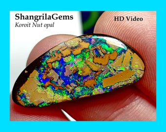 26.9mm Koroit nut Matrix opal from the Koroit mine in Queensland Australia 26.9 by 11.9 by 3mm See Video