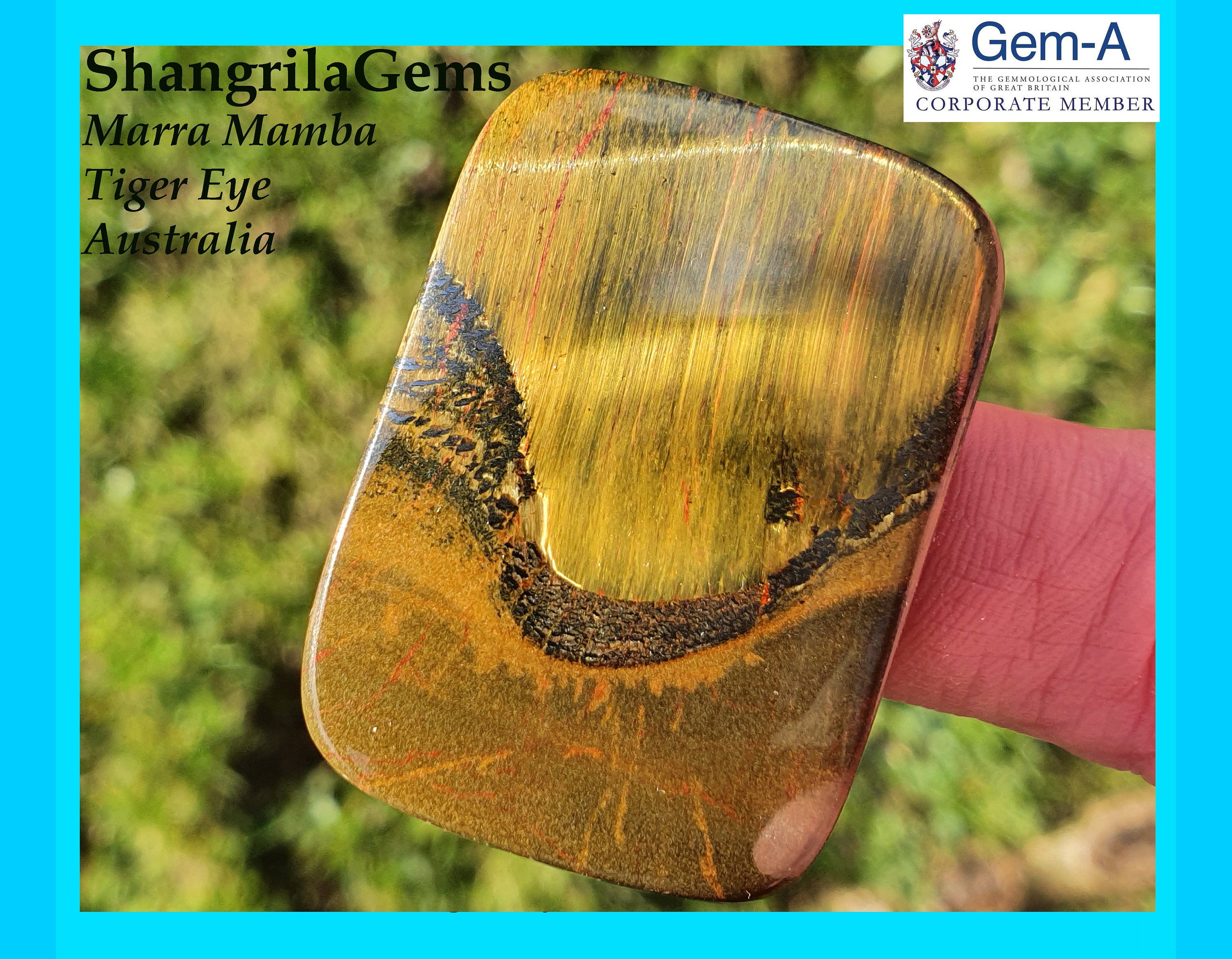 41mm Marra Mamba Tiger s Eye From Australia 41mm by 29 by 5mm 79ct