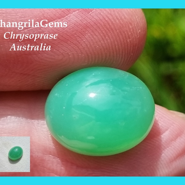 15mm Chrysoprase oval green cabochon Australia 15 by 12 by 8mm 10.5ct untreated