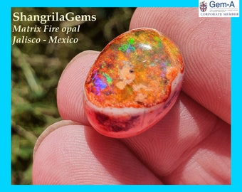 16.5mm Mexican Cantera opal with Rainbow Fire 10ct  16.5 by 13 by 7.8mm VIDEO