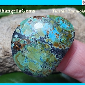 30mm Tibetan turquoise cabochon free form 30 by 24 by 4.5mm 21ct