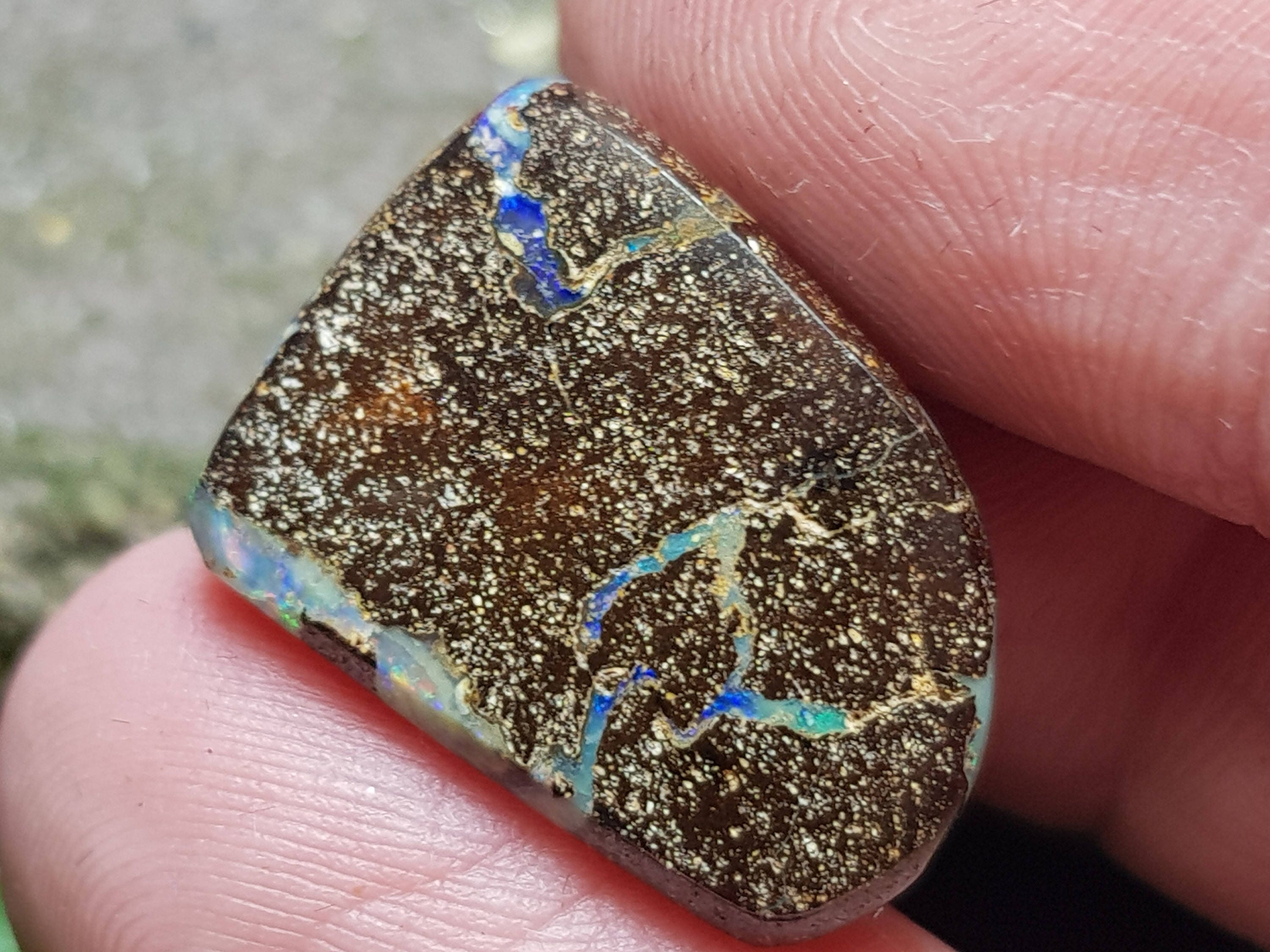 21mm Boulder Opal Wood Fossil Designer Cut Stone 21 by 14 by - Etsy UK