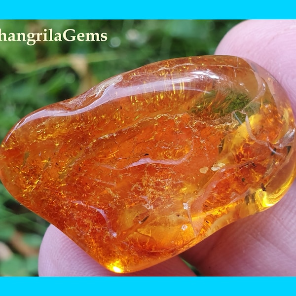 34mm Baltic Amber Rough piece deep honey color 26ct 34 by 22 by 12mm no treatment