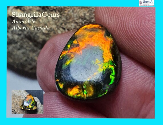 Etsy ammolite deals