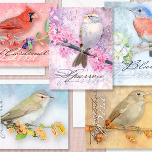 Note Cards, blank 5.5&quot; x 4.5&quot; Group of five cards with my watercolor prints featuring little birds, perched on colorful tree branches.