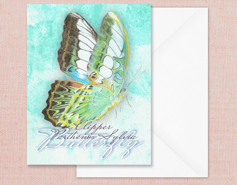 Watercolor Butterfly Note Cards, Set of 5 - Etsy