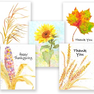 Autumn Note Cards, 1 Thanksgiving, 2 Thank You, 2 blank note cards w/envelopes.