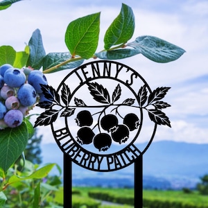 May include: Black metal garden stake with the text "Jenny's Blueberry Patch" in a circular design. The stake features a blueberry branch with leaves and berries. The background shows a blueberry bush and a scenic view.