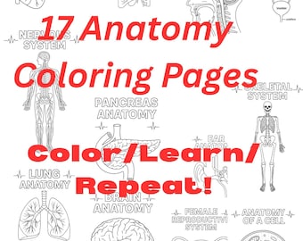Human Anatomy Coloring Pages: Educational Science Worksheets (PDF Download