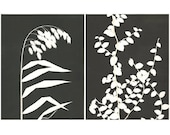 pair of monoprints, ivy, botanical print, black & white