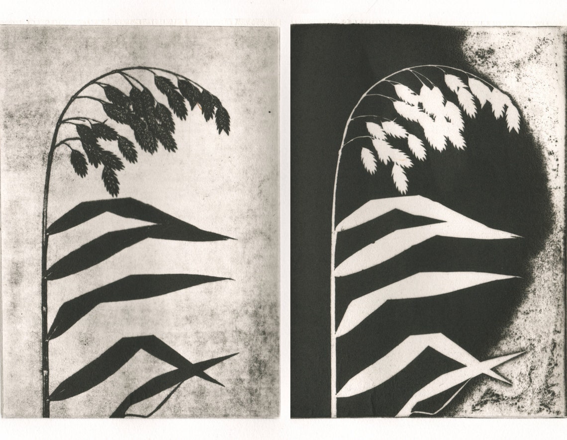 Etching Weeping Grass Modern Minimal Original Print Etsy