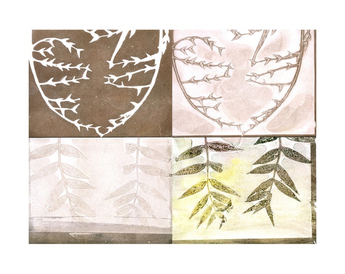 Blank Note Card Set of 4 Original Botanical Monoprint - Etsy