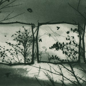 Doves off of my Balcony, solar-plate etching image 1