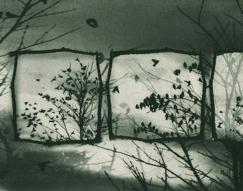 Doves off of my Balcony, solar-plate etching image 1