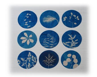Botanical Art, original cyanotypes, upcycled, recycled art, set of nine