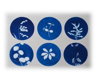 Botanical Art, original cyanotypes, set of six
