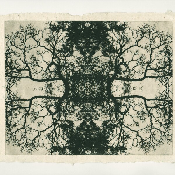 etching, Oak Mandala, original modern print on handmade paper