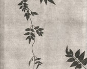botanical print, pressed plant, minimal art