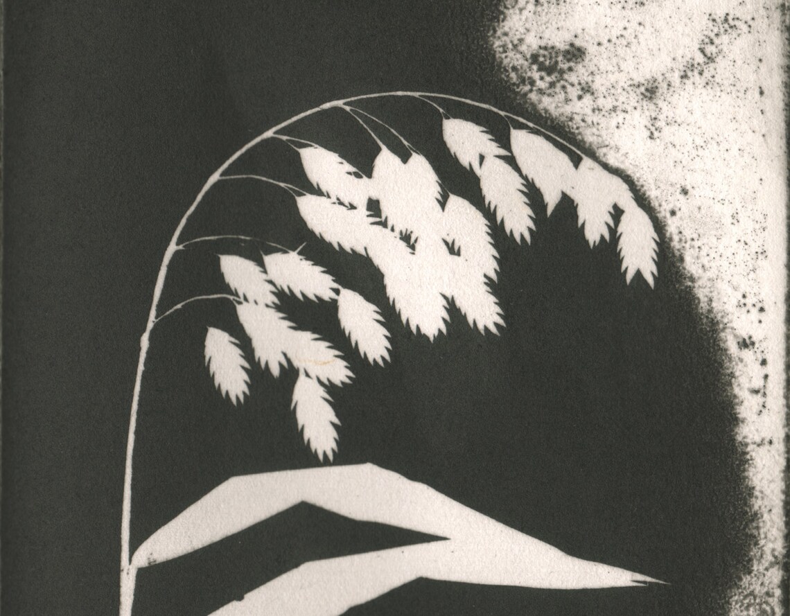 Etching Weeping Grass modern minimal original print Etsy