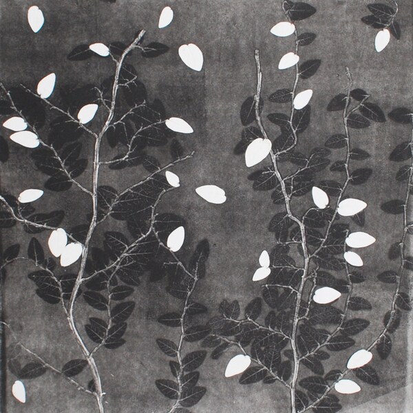 Modern Art, Contemporary Art, Original Etching, Ivy Design