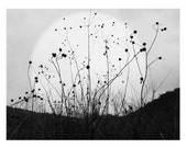 Letra grande, Luna cartel, giclee, impresión archivo