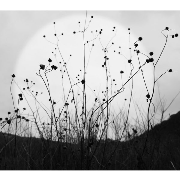Mond-Poster, Giclee, Großdruck, archivalische Druck