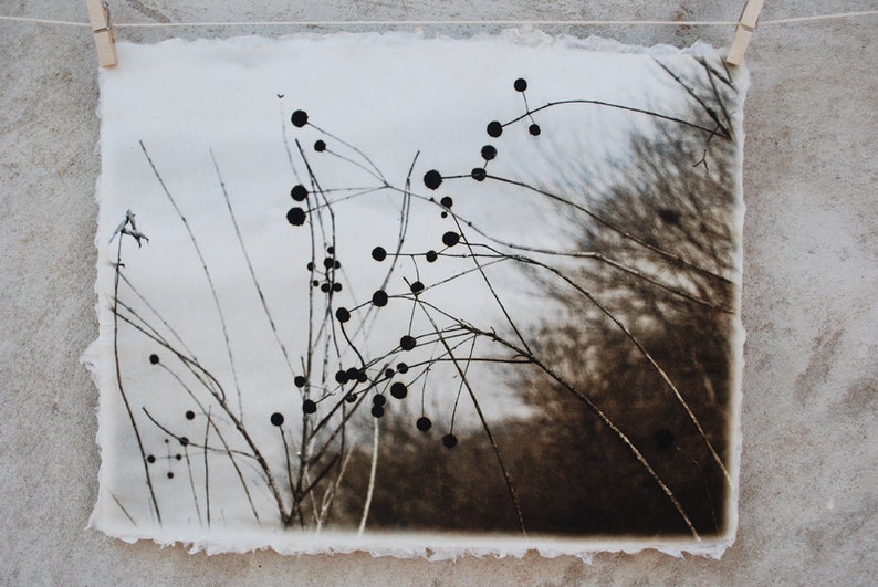 Art print etchings on handmade paper Etsy