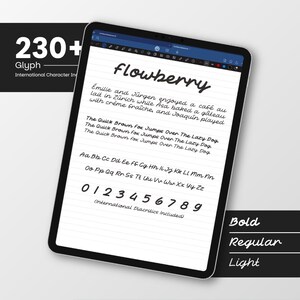 May include: A tablet screen showcases the "flowberry" font, with examples of letters, numbers, and the sentence "The Quick Brown Fox Jumps Over The Lazy Dog." The image also features the text "230+ Glyph" and font style options: Bold, Regular, and Light.