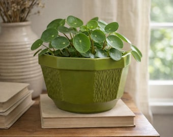 May include: A green ceramic plant pot with a textured design, holding a Pilea peperomioides plant with round, green leaves. The pot sits on a book atop a wooden table, with a vase and window in the background.