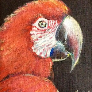 Parrot Schilderij vogel schilderij originele kunst 5 x 7