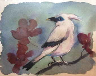 Bird Rothschild mynah bird painting original watercolour  bird painting  original art 5 x 7