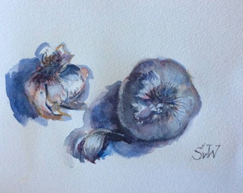 Garlic watercolour painting original art 5 x 7’