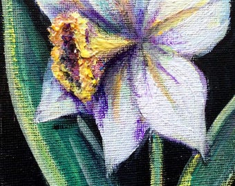 Pintura original de Narciso flores naturaleza muerta floral 6 x 4"
