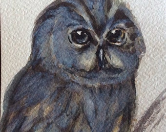 Owl painting original watercolour  bird painting  original art 5 x 7