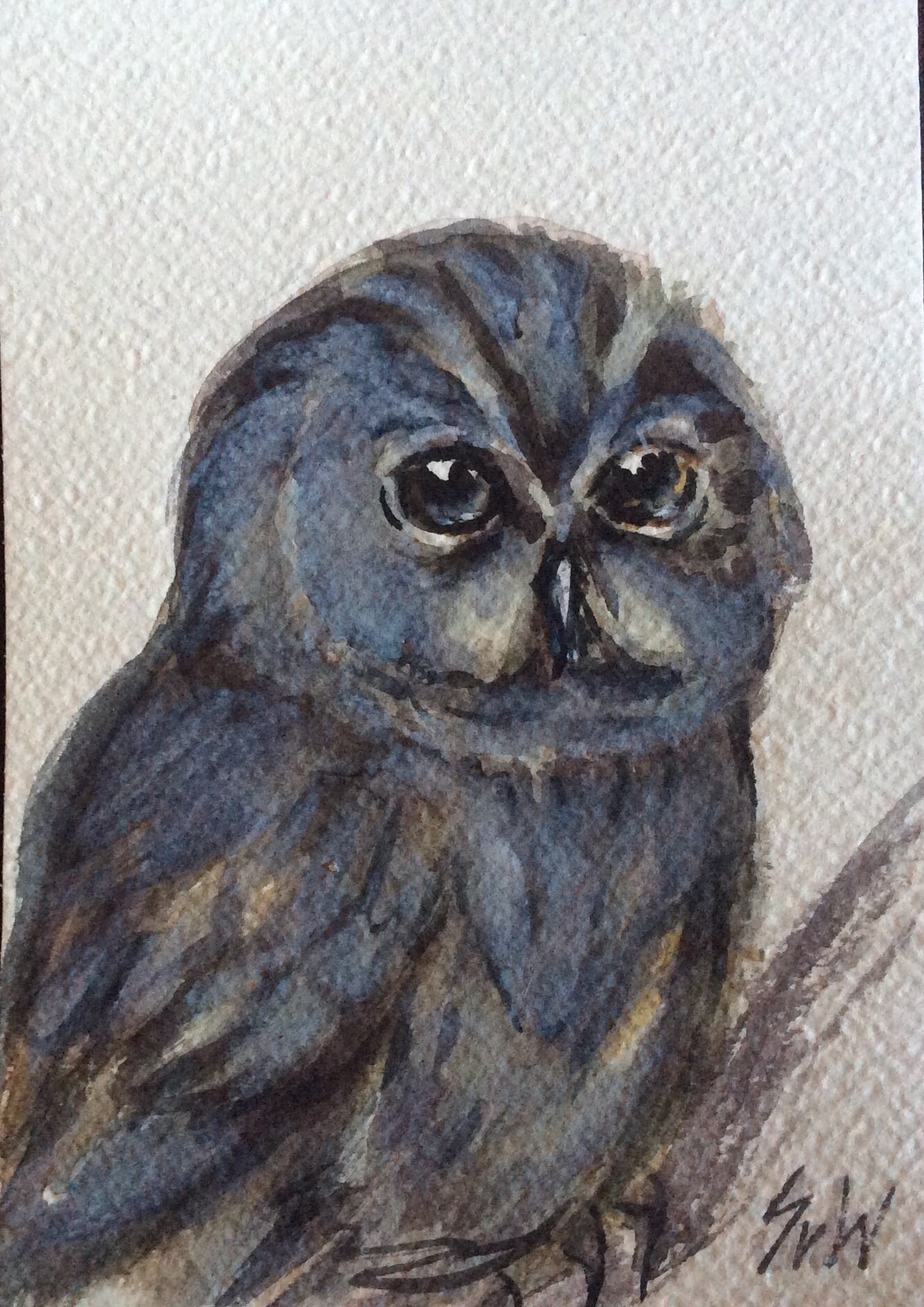 Owl painting original watercolour  bird painting  original art 5 x 7