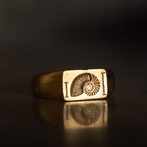 May include: A gold-colored signet ring with a rectangular face. The face features an engraved ammonite fossil design, flanked by the letter "I" on each side. The ring is highly reflective, with a dark background.