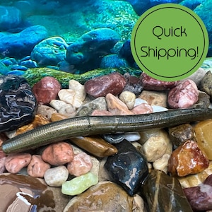 Handmade 5” Soft Plastic Lures - 8 Lures per Pack Fishing Tackle for Bass, Pike, & More - Handcrafted Fishing Lures