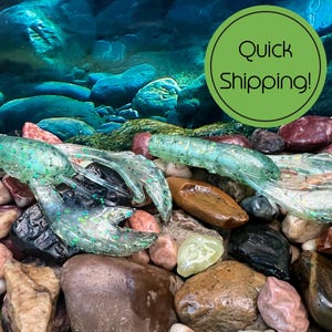 Ecto Craw – 4” Soft Plastic Craw Baits | Hand-Poured Bass Lures | Custom Colors | Texas-Made Fishing Bait