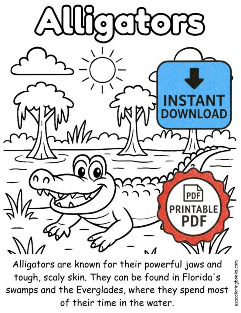 Bundle Coloring Page for Kids: Florida Animals, Easy Classroom Activity ...