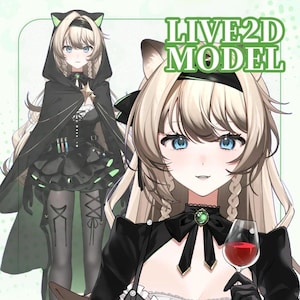 Cool Miss/Premade live2d Vtuber Studio Model/VTS/Fully Rigged/YouTube  Twitch Stream