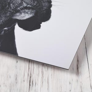 May include: A rectangular wall art print featuring a black and white photographic detail of a dog's snout and whiskers. The print has a clean white border and is positioned at an angle, showcasing the high-contrast monochrome animal portrait.