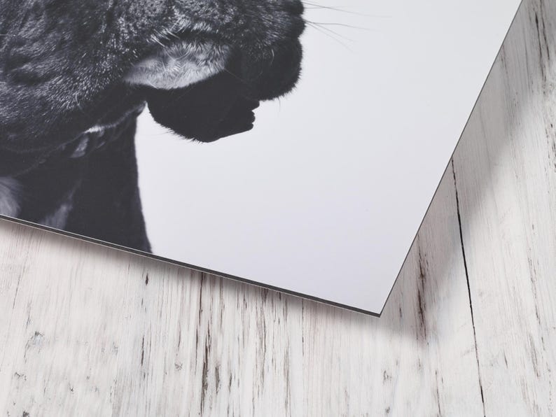 May include: A rectangular wall art print featuring a black and white photographic detail of a dog's snout and whiskers. The print has a clean white border and is positioned at an angle, showcasing the high-contrast monochrome animal portrait.