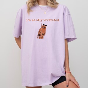 May include: A lilac t-shirt with the text "i'm mildly irritated" in brown. The shirt features a cartoon illustration of a brown figure with black sunglasses. The shirt is a casual, oversized style.