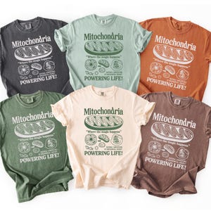 Può includere: Una collezione di sei magliette in vari colori, tra cui grigio, verde e crema. Ogni maglietta presenta la parola "Mitochondria" sopra una grafica e la frase "Where the magic happens". Le magliette sono stampate con un design a tema scientifico.
