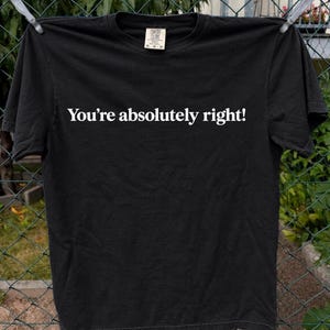 Du har helt rätt-tröja, Comfort Colors AI-humor-tröja, rolig chatbot-tröja, programmerare-gåva, mjukvaruutvecklare-t-shirt, Claude AI-gåva
