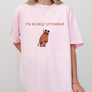 May include: A pale pink t-shirt featuring the phrase "i'm mildly irritated" in brown. A cartoon frog illustration, giving the middle finger, is below the text. The frog is brown with black eyes.