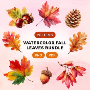 Fall Leaves Watercolor Clipart, Scrapbooking Autumn Decor, Maple & Oak Leaf, Pine Cone (PNG PDF)