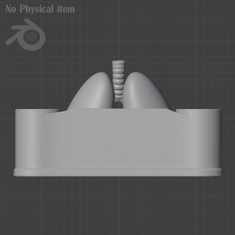 Puede incluir: Modelo 3D de pulmones humanos, tr&aacute;quea y base, renderizado en gris claro. La representaci&oacute;n digital del sistema respiratorio es visible desde un lateral. El texto "No Physical item" est&aacute; en la esquina superior izquierda.